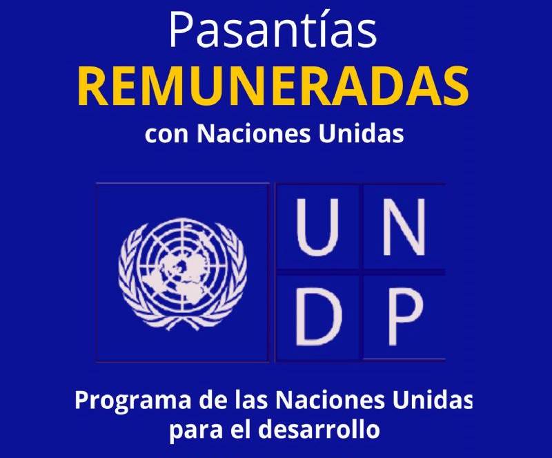 Impulsa tu carrera con una pasantía remunerada de la ONU Impulsa tu carrera con una pasantía remunerada de la ONU